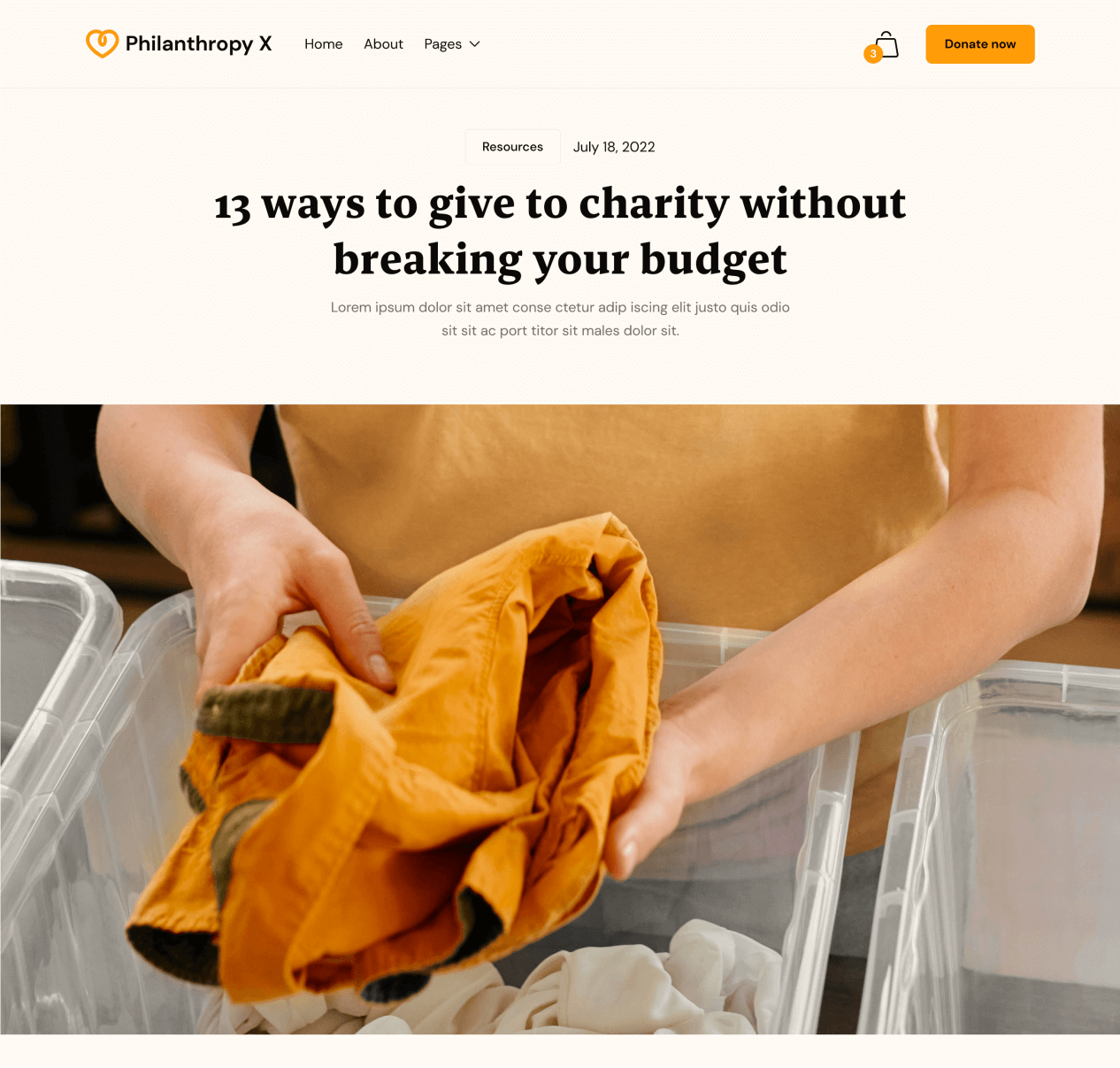 Philanthropy X - Blog Post page - Charity Webflow Template