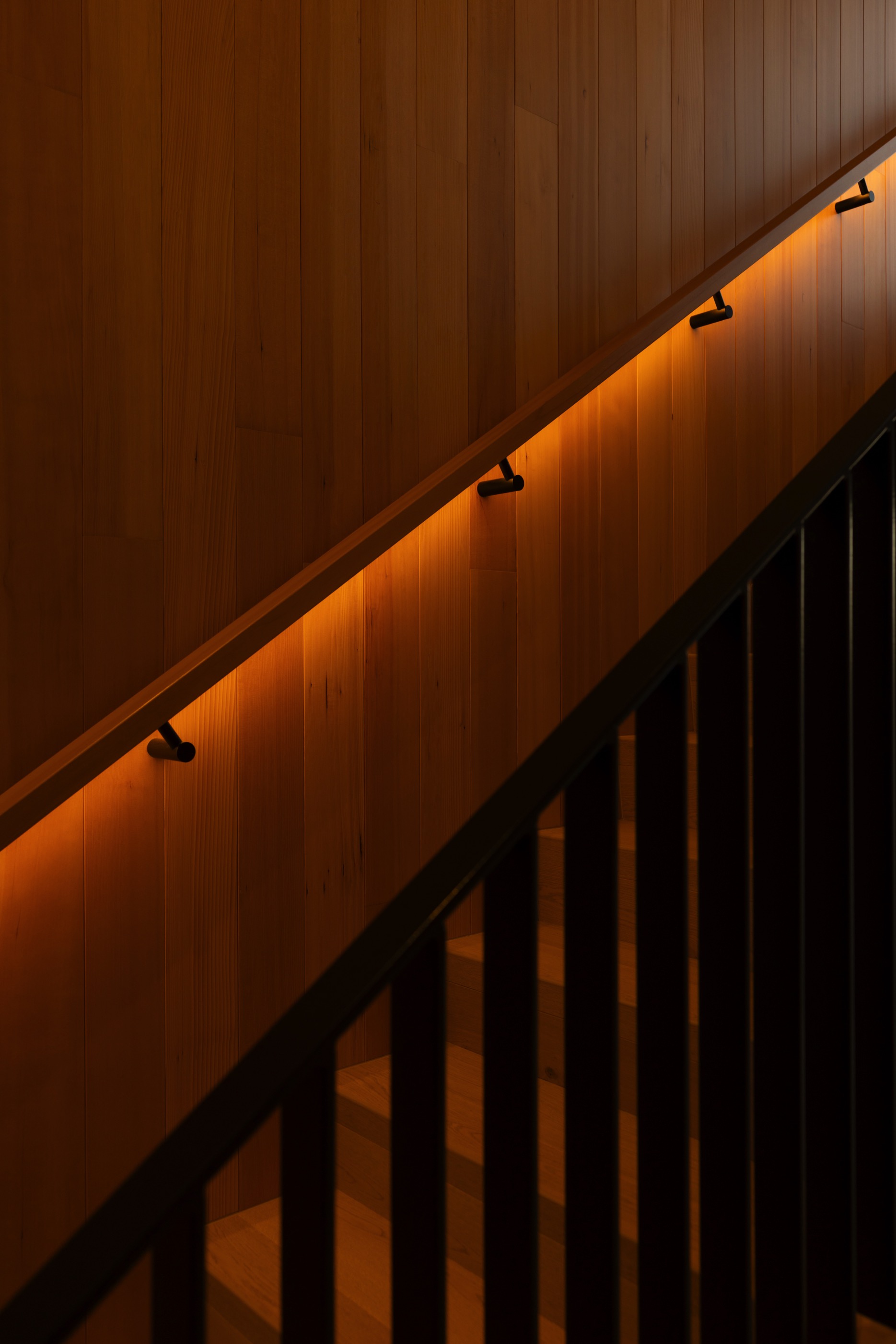 LED Handrail and Timber Wall