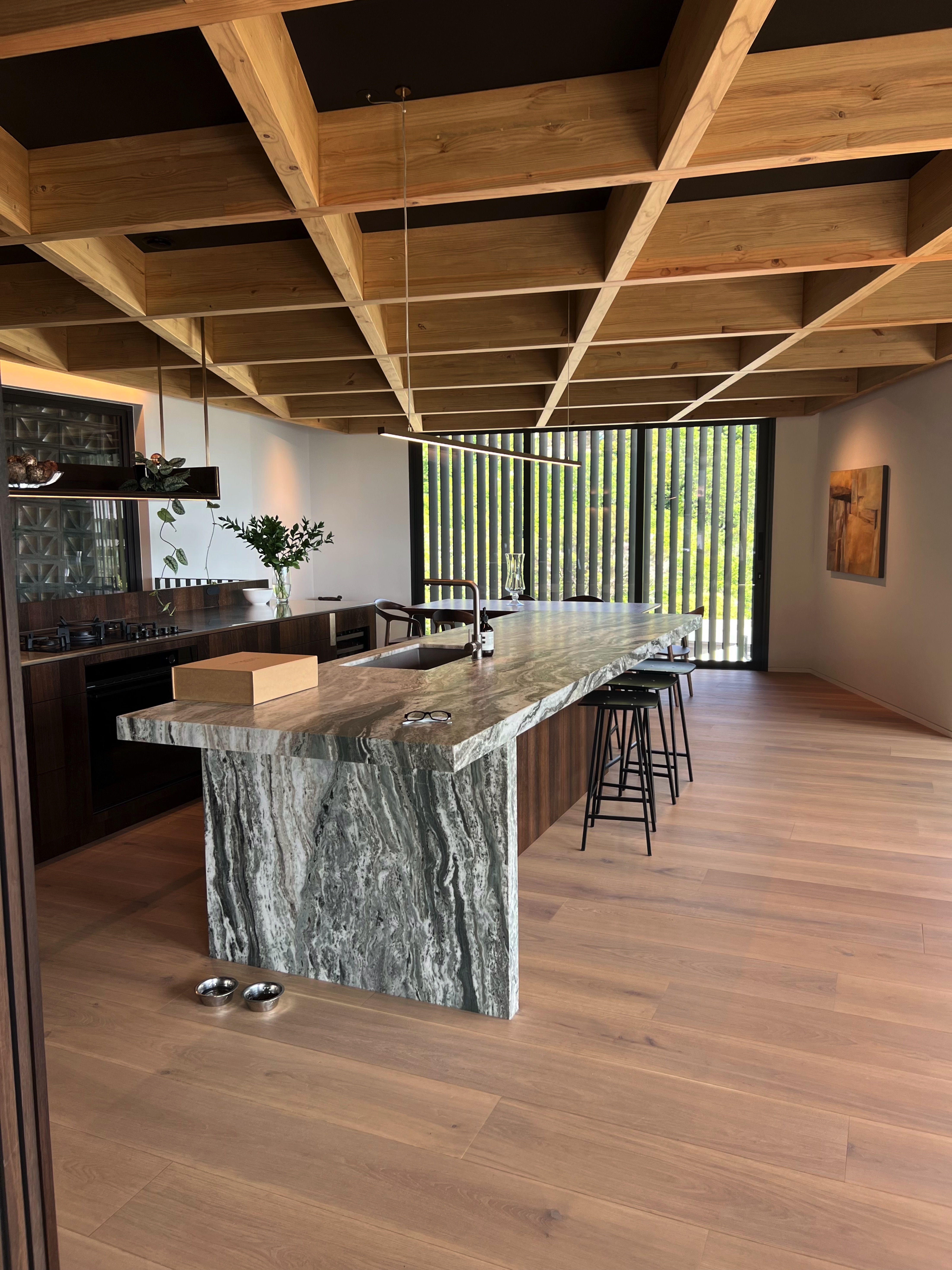 Render of Architectural new home