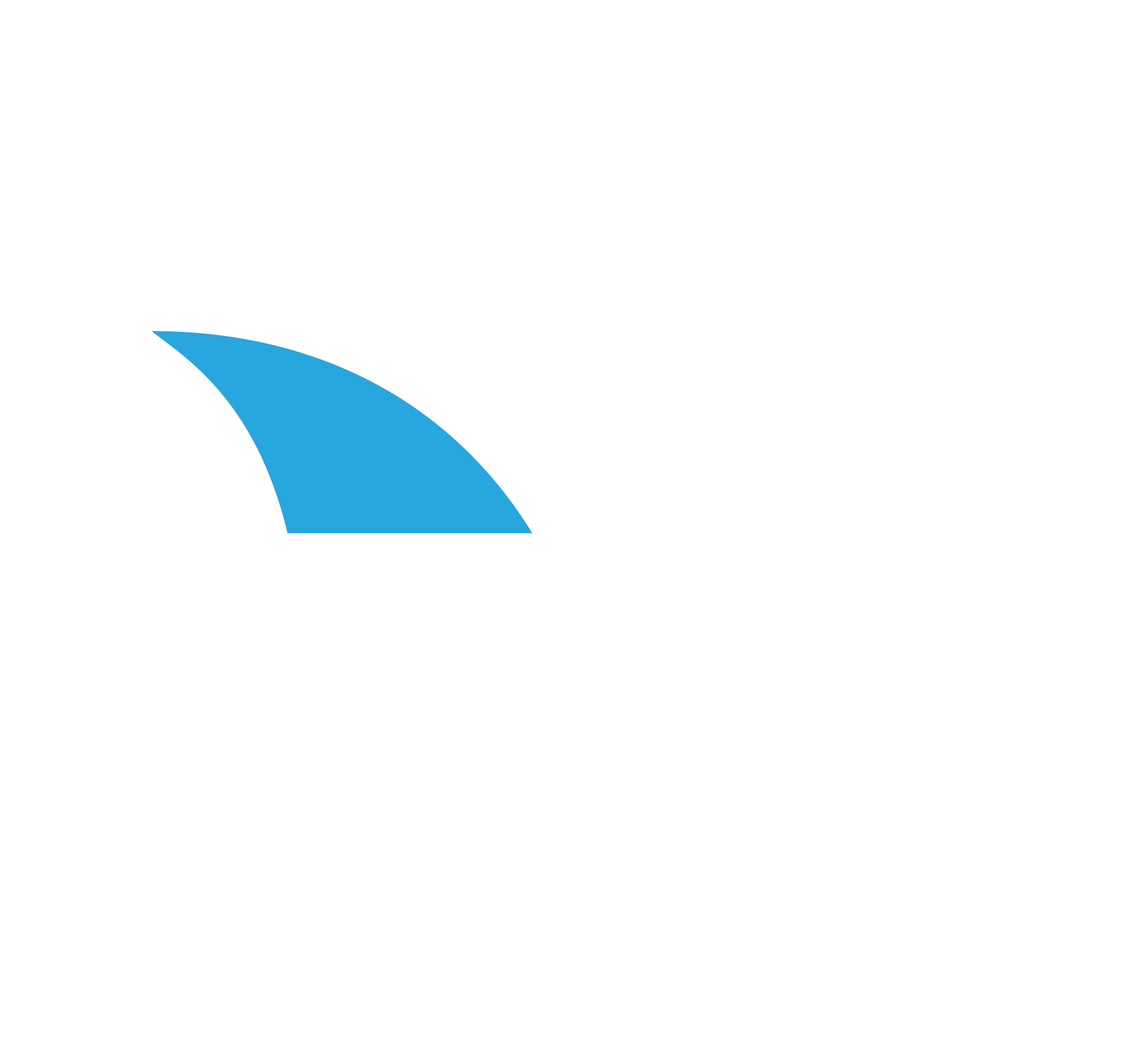 FIN 25