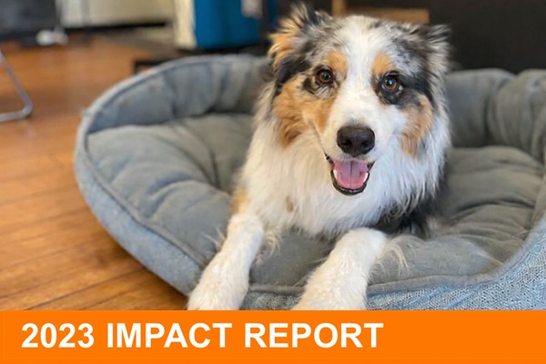 2023 impact report