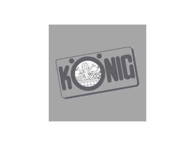 Eugen König