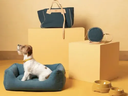 Small dog sitting in a blue pet bed, with blue handbags displayed on yellow pedestals in the background, alongside yellow pet bowls, showcasing stylish pet accessories.