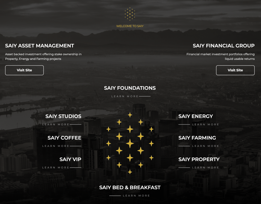 The SAIY Group - Our Companies