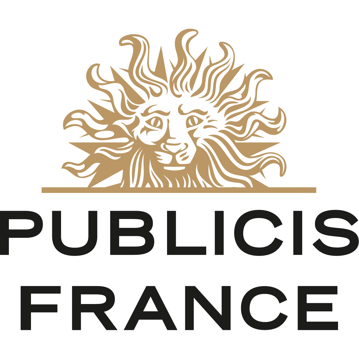 Logo de Publicis France
