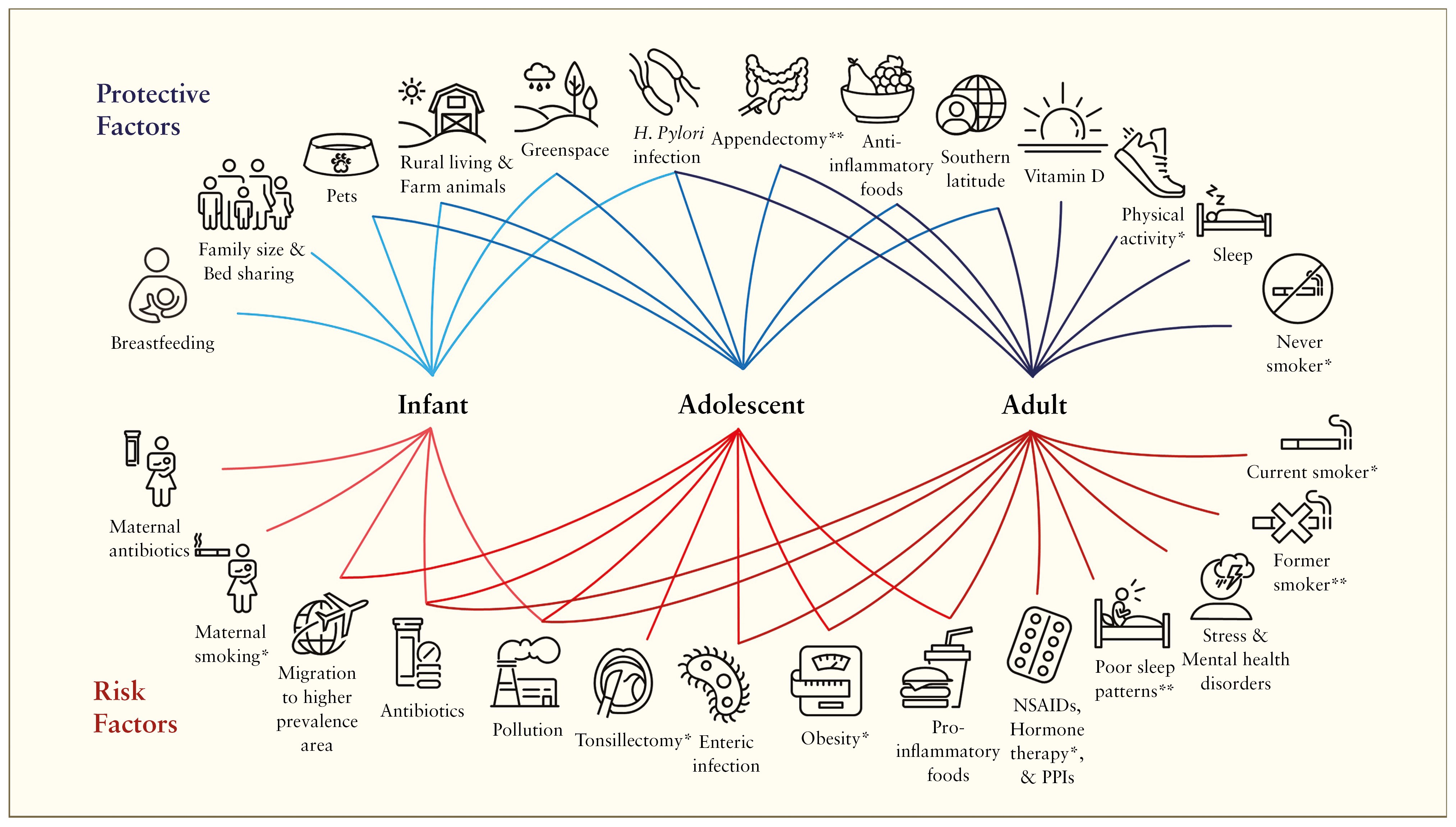 Figure showing the many proctive and risk factors that contribute to the development or prevention of IBD
