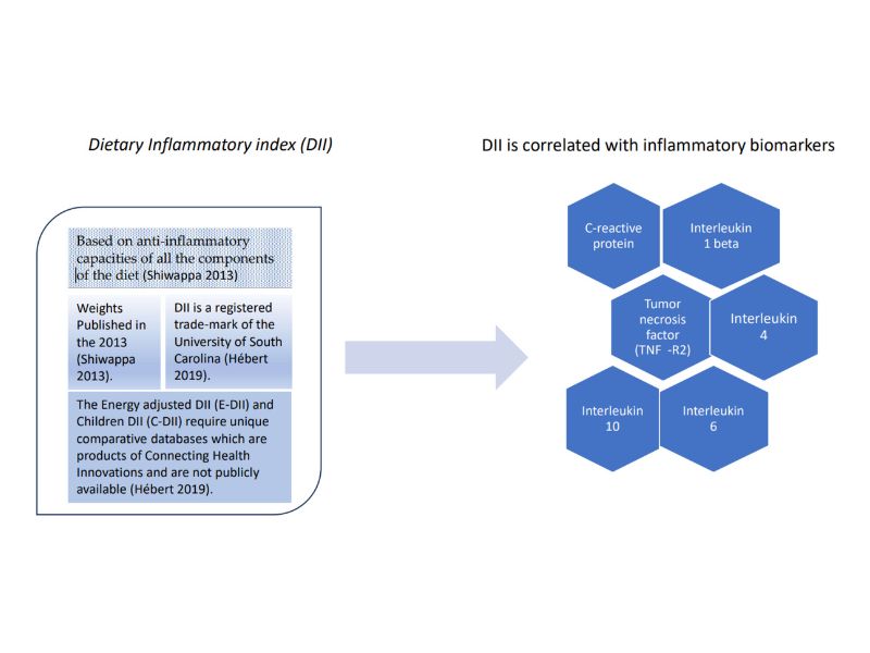 Figure 1- Dietary Inflammatory Index