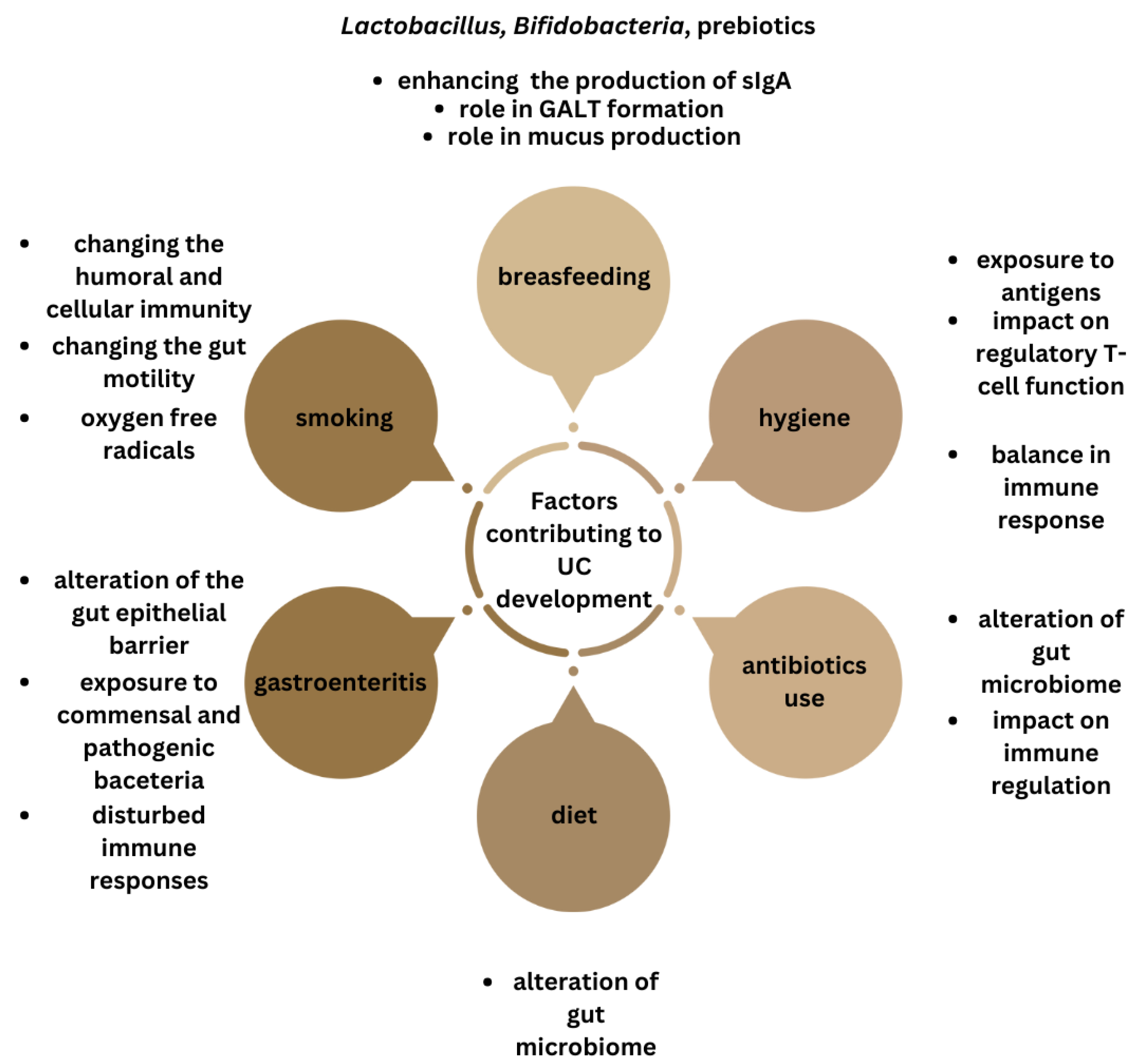 Figure 4: Summary of the factors influencing gut microbiota, linked with ulcerative colitis development.