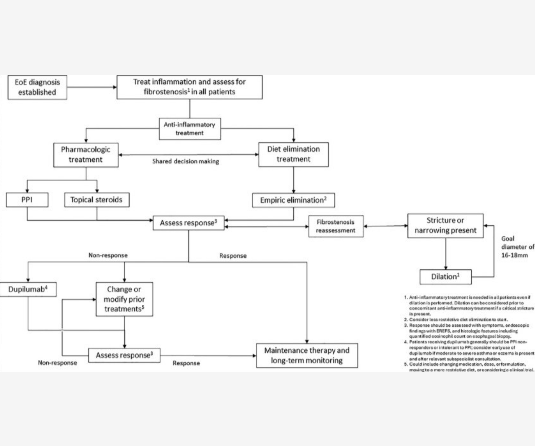 Figure showing the management algorithm for EoE 
