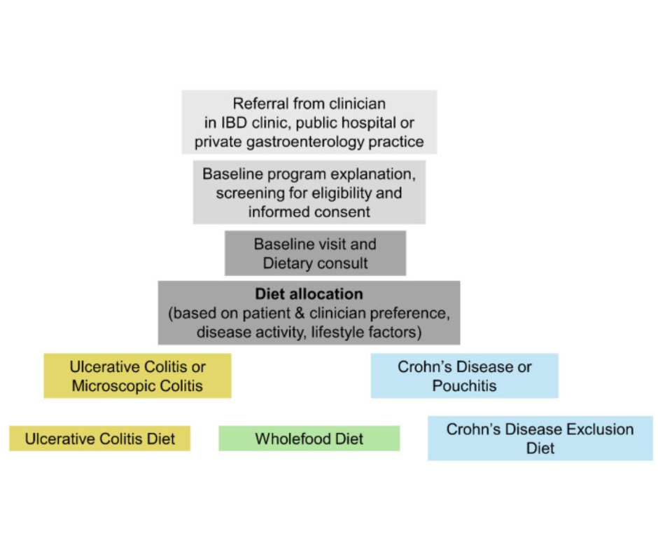 Process for referral and diet allocation in the DELECTABLE program.