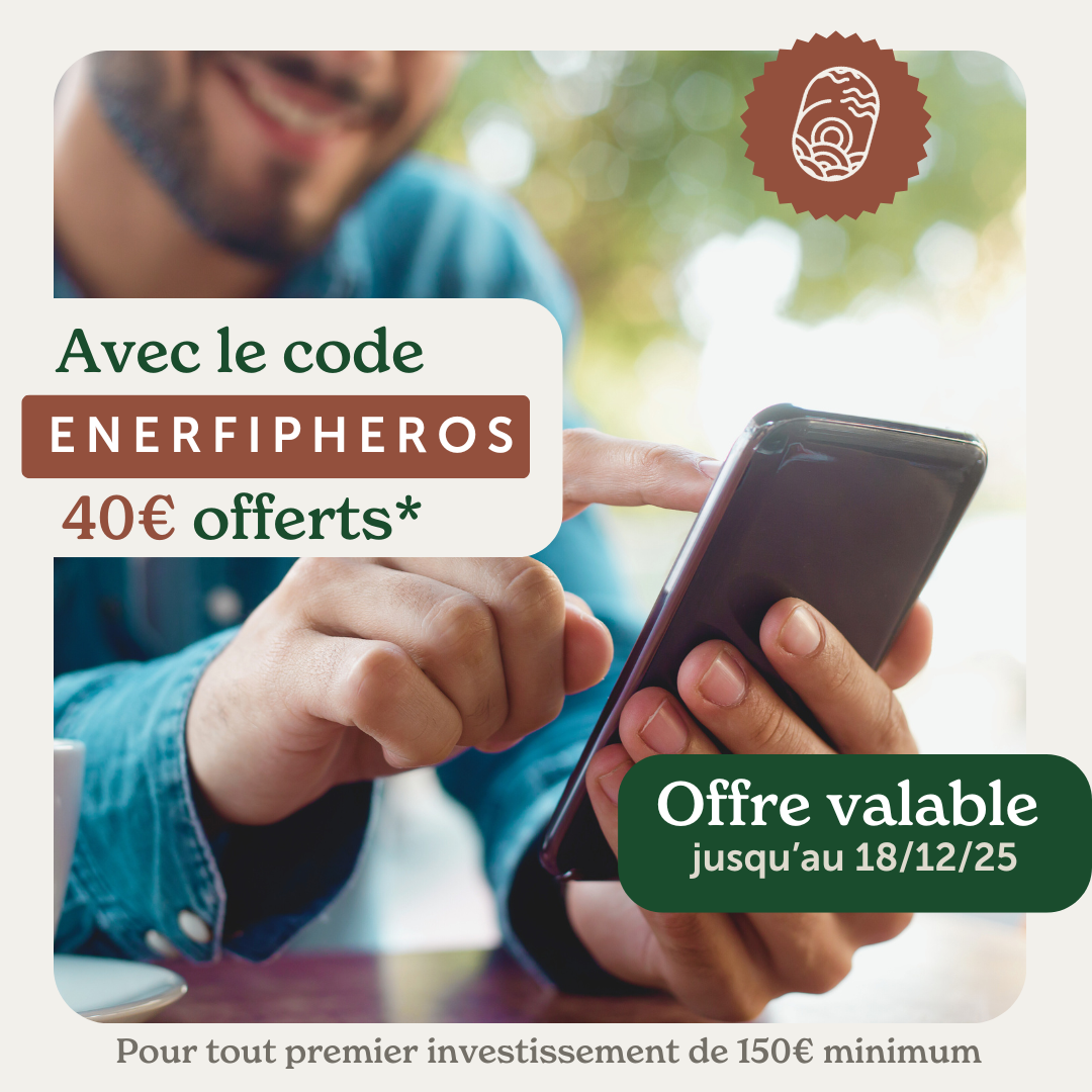 Wallet with renewable energies and coins