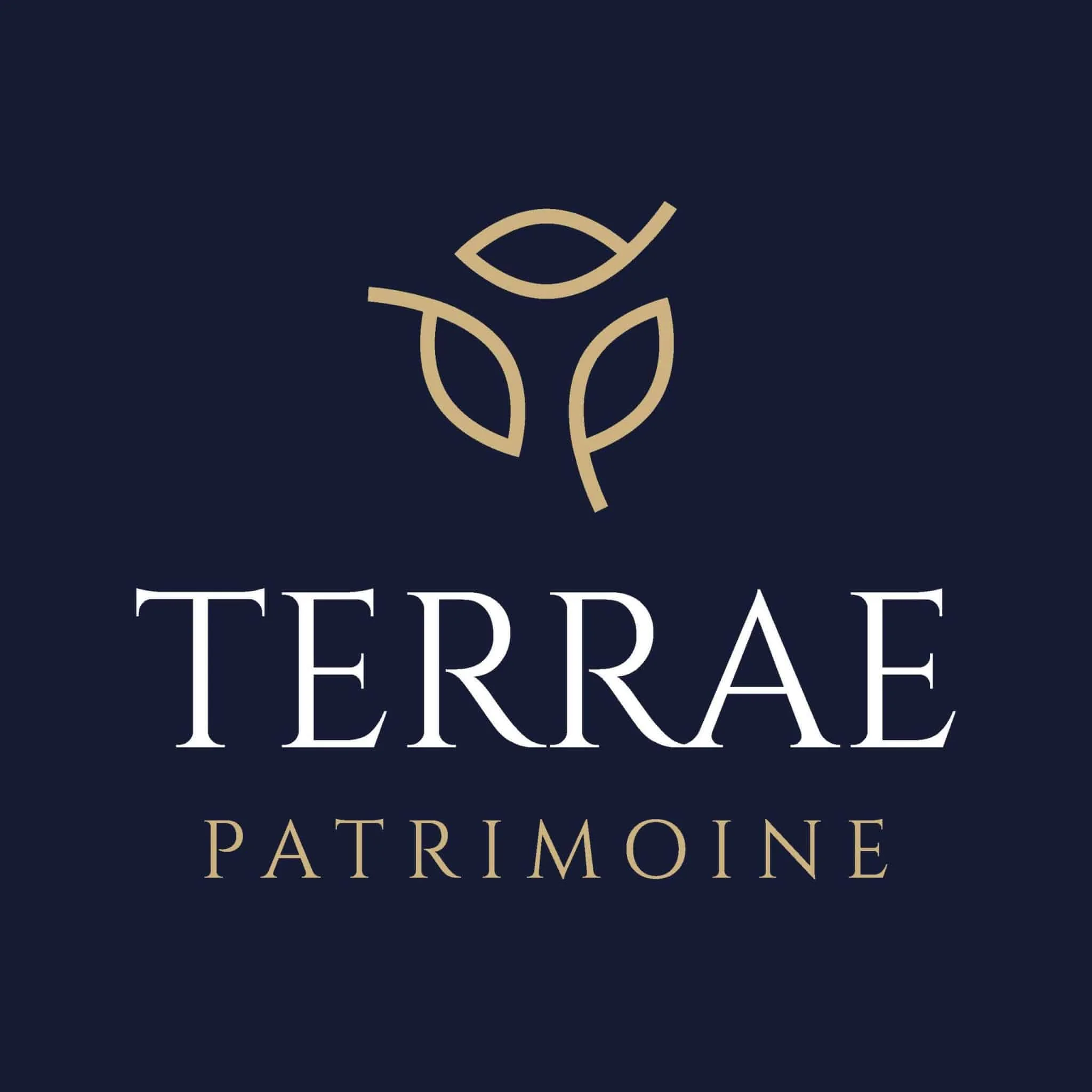 Logo de Terrae Patrimoine représentant trois feuilles dorées stylisées au-dessus du texte, sur un fond sombre.