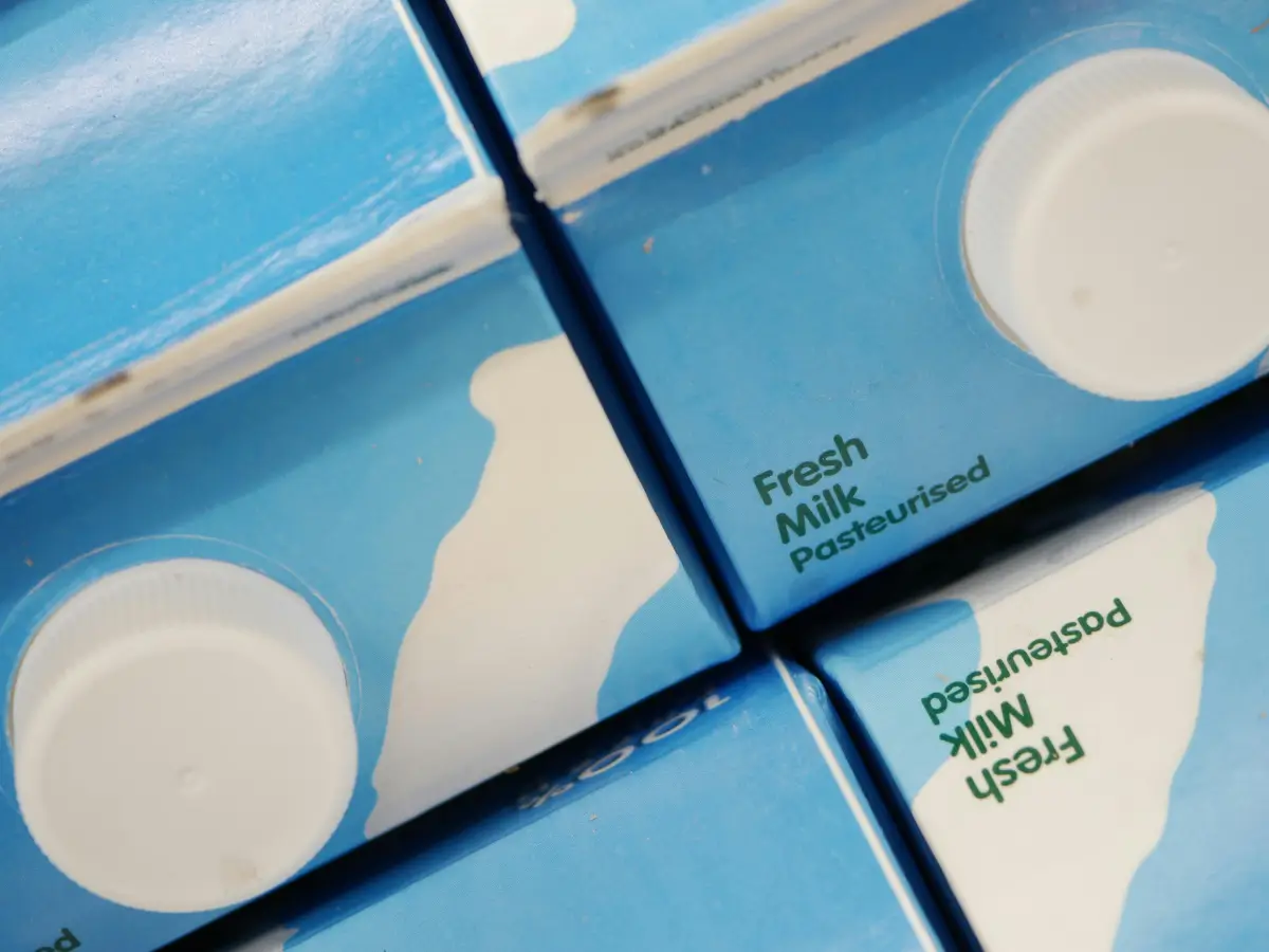 Close-up of milk cartons