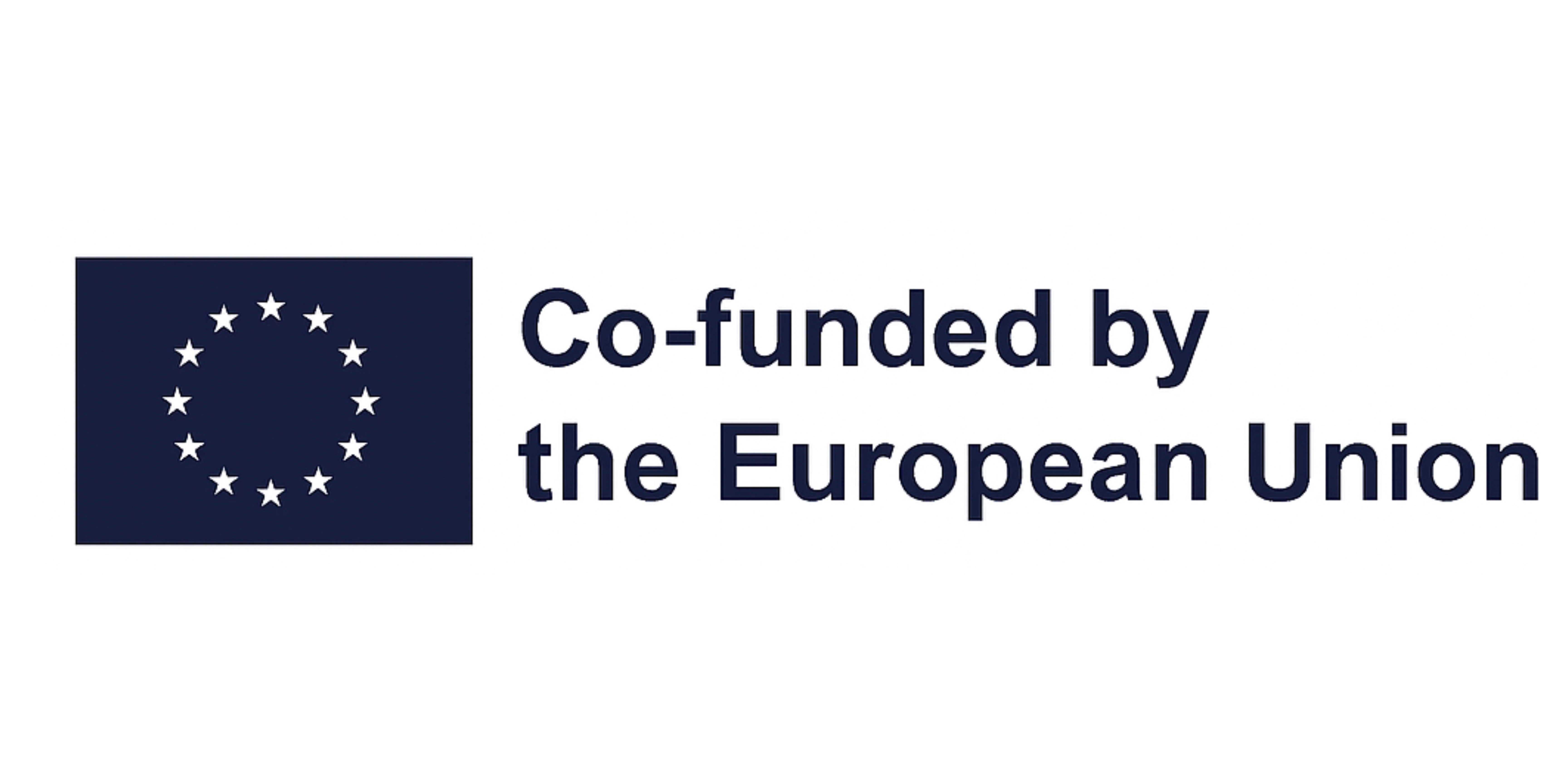 Visiofy Co-funded by the European Union