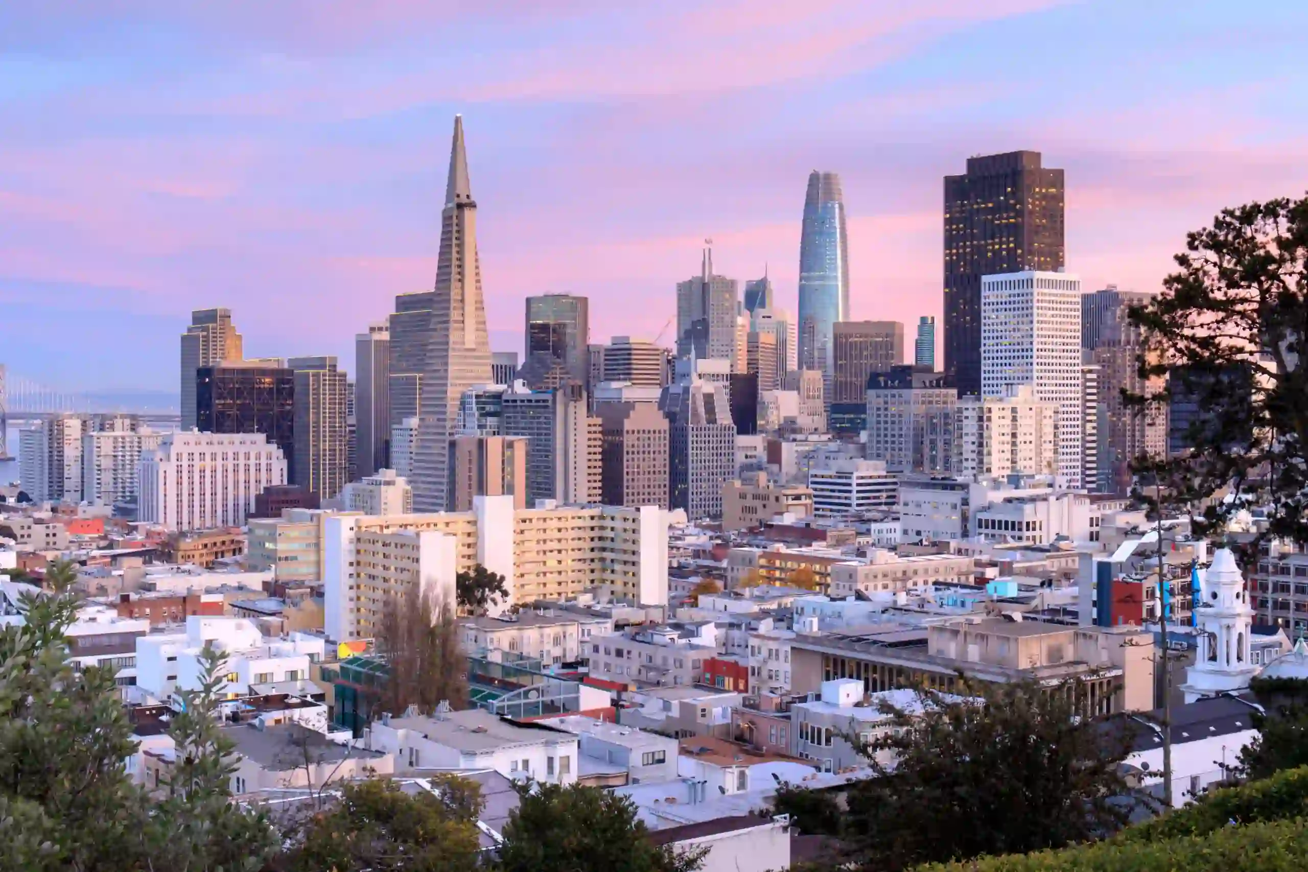 San Francisco Skyline View