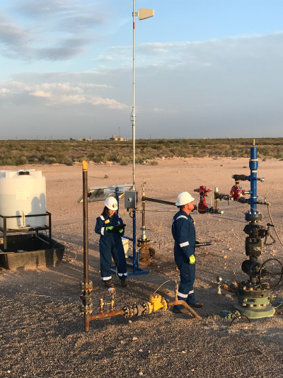 gas assisted plunger lift