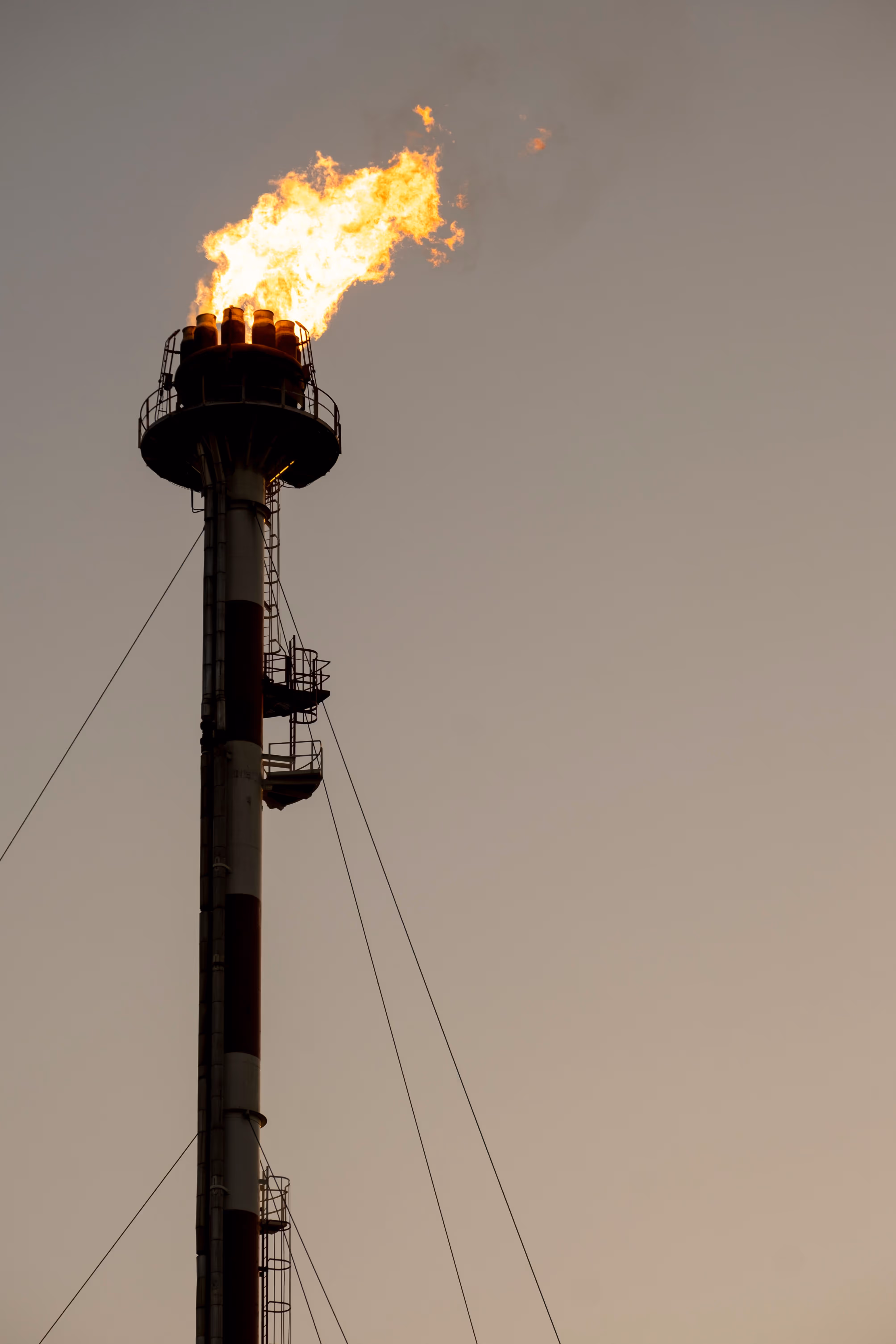 Oil and gas flare