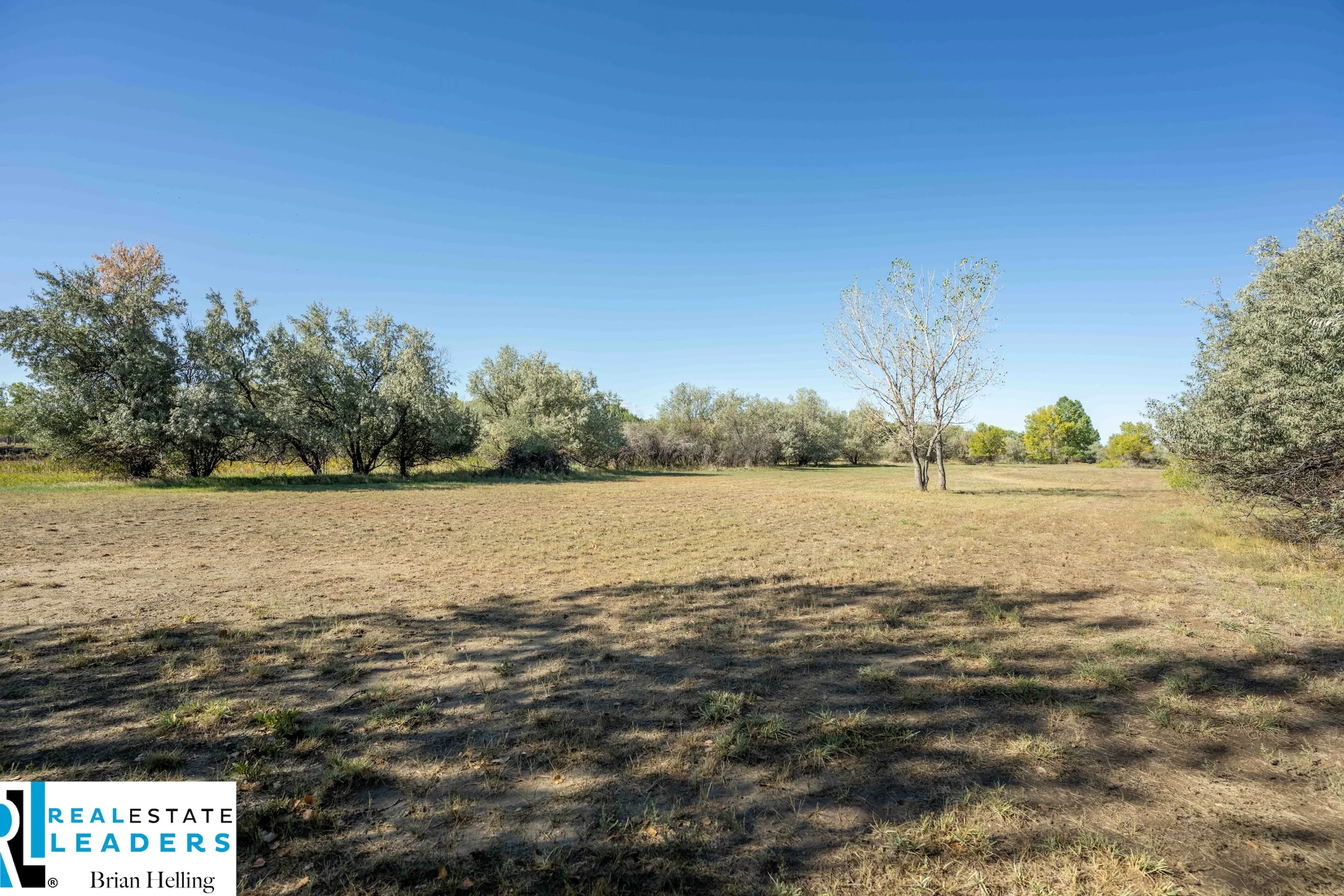 Open ground bordered by trees