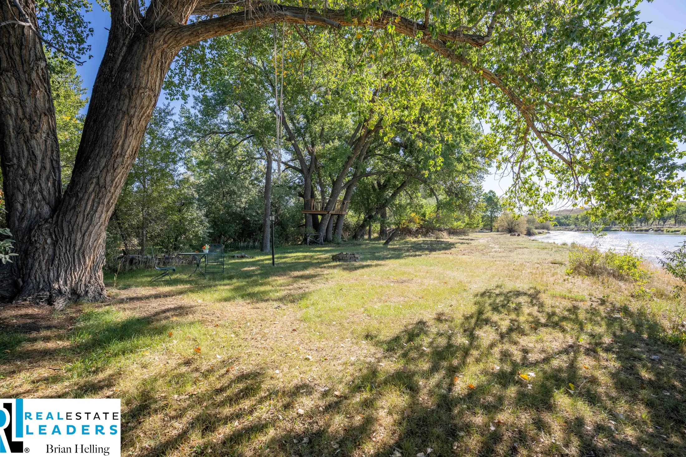 Mature trees and paths near the river