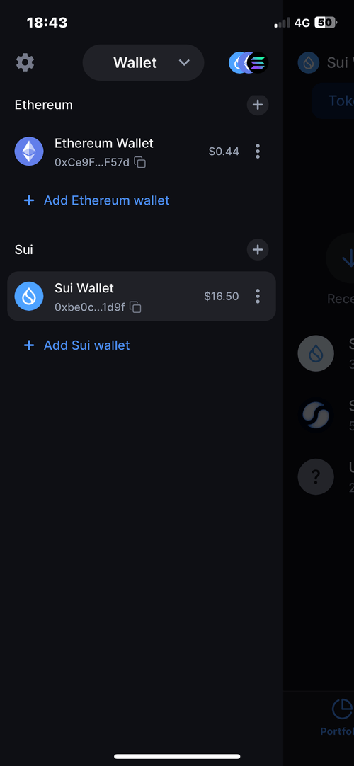 screenshot of backpack app