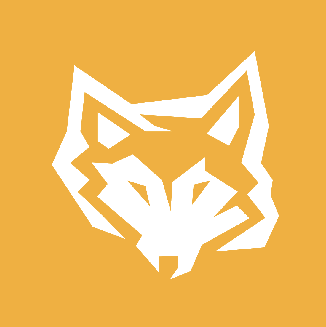 Working on a laptop with secure code reviews
