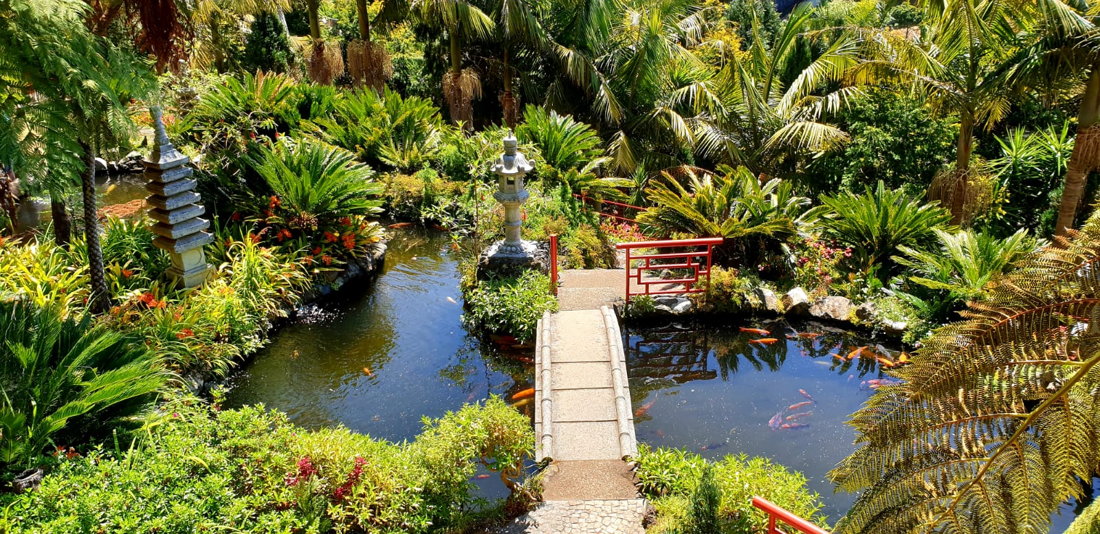 Loevly and cute bridges in Madeiras Tropical Garden in Funchal