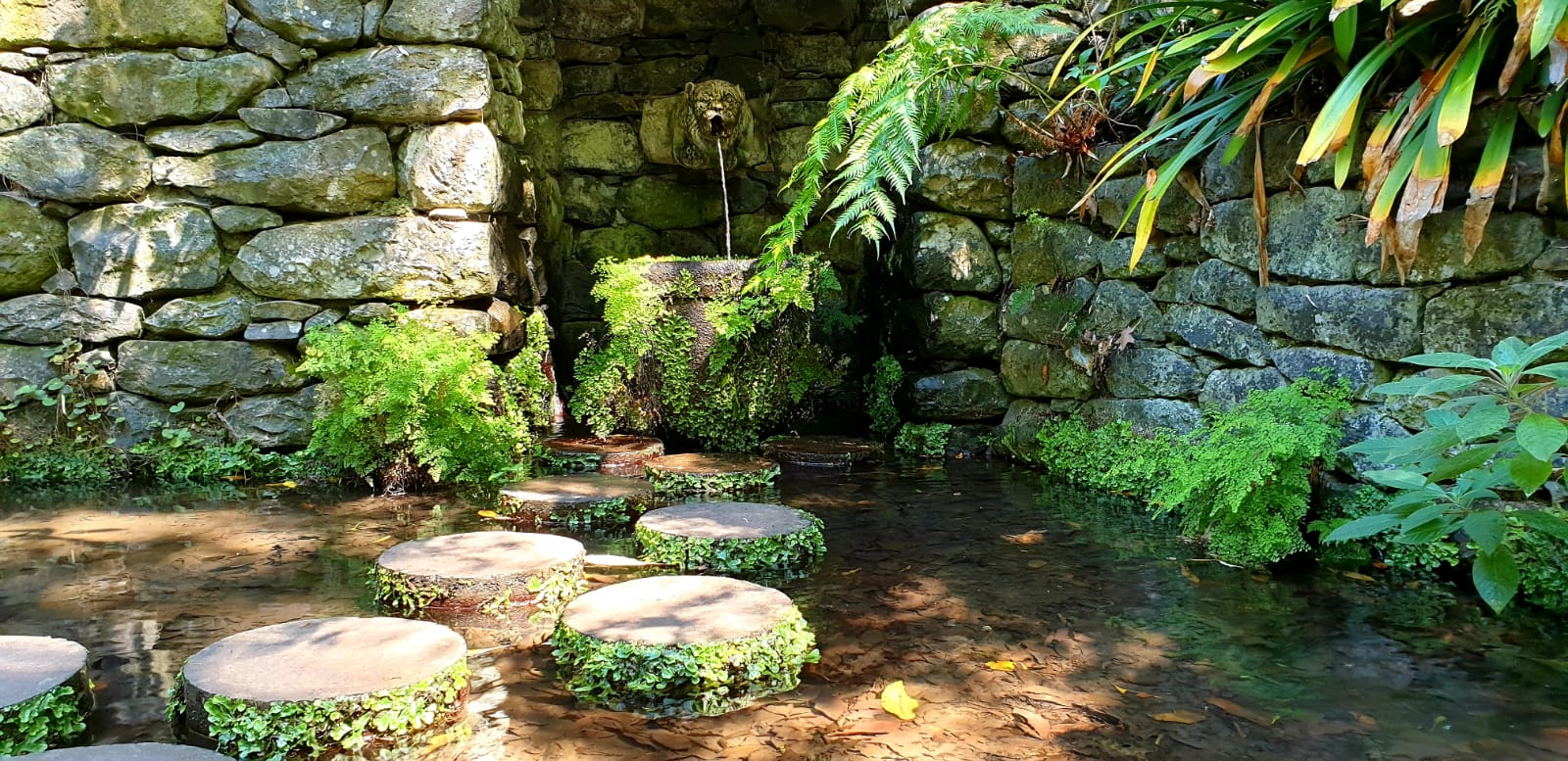 Loevly corners at the Tropical Garden in Funchal Madeira