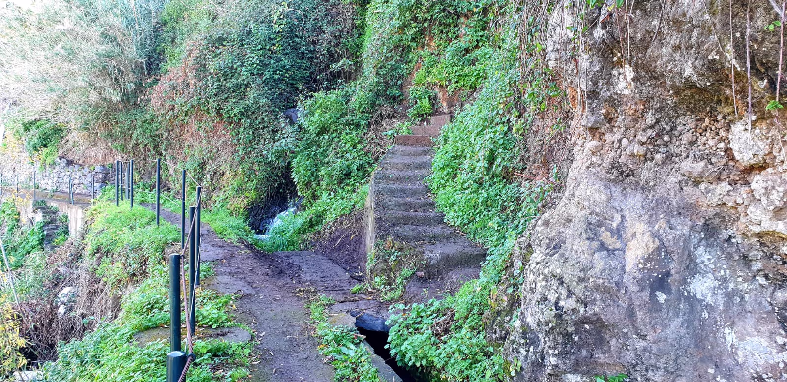 One of our favourit hike in Madeira called Lombada da Ponta do Sol