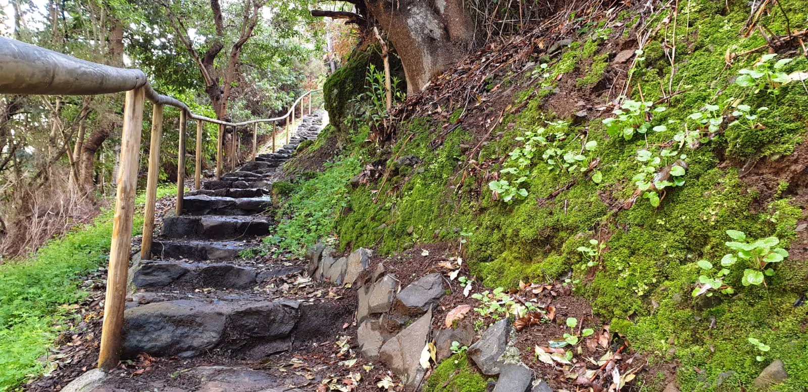 Old stonestairs at Lombada da Ponta do Sol