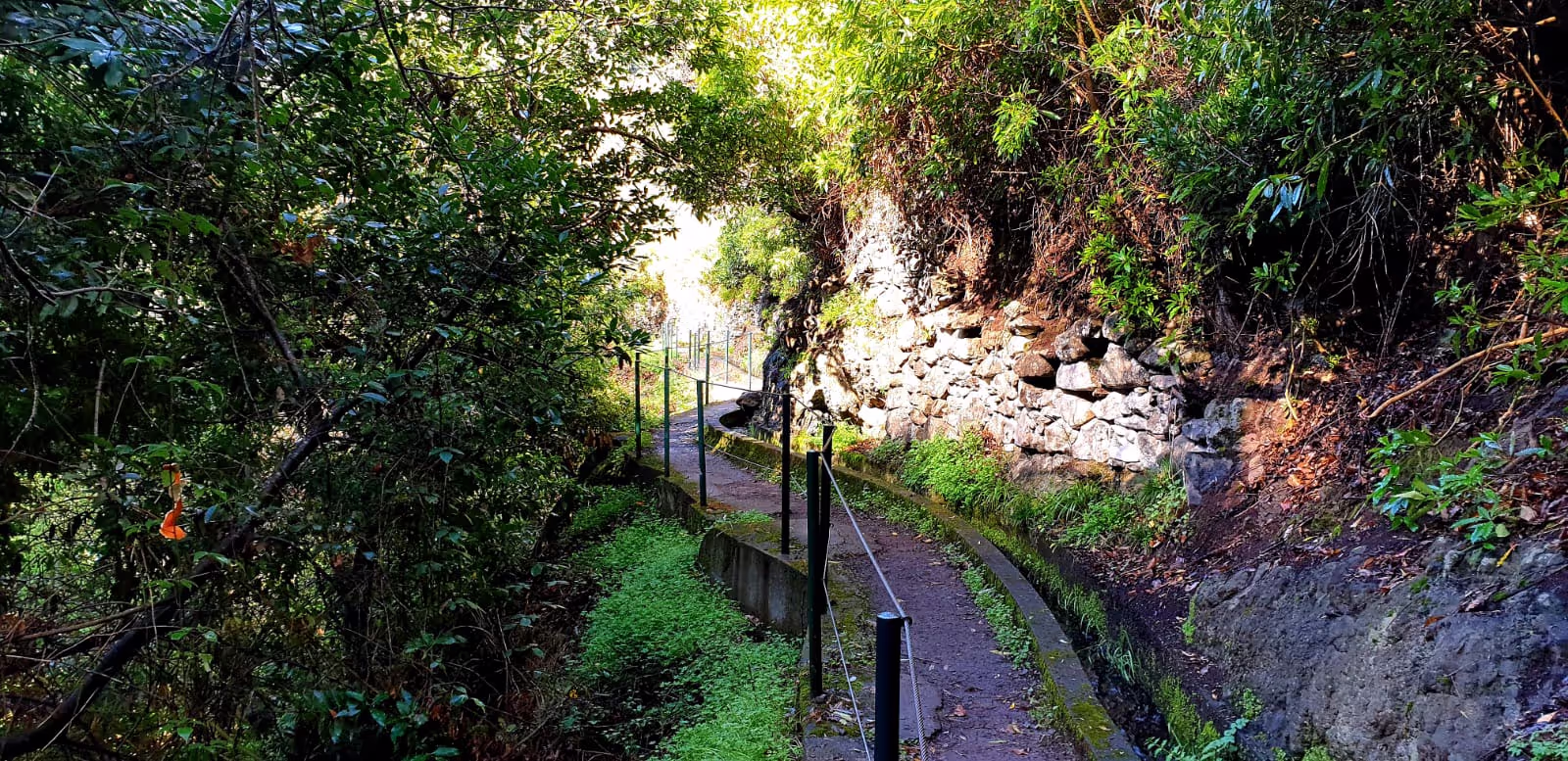 the green levada hike at Lombada da Ponta do Sol