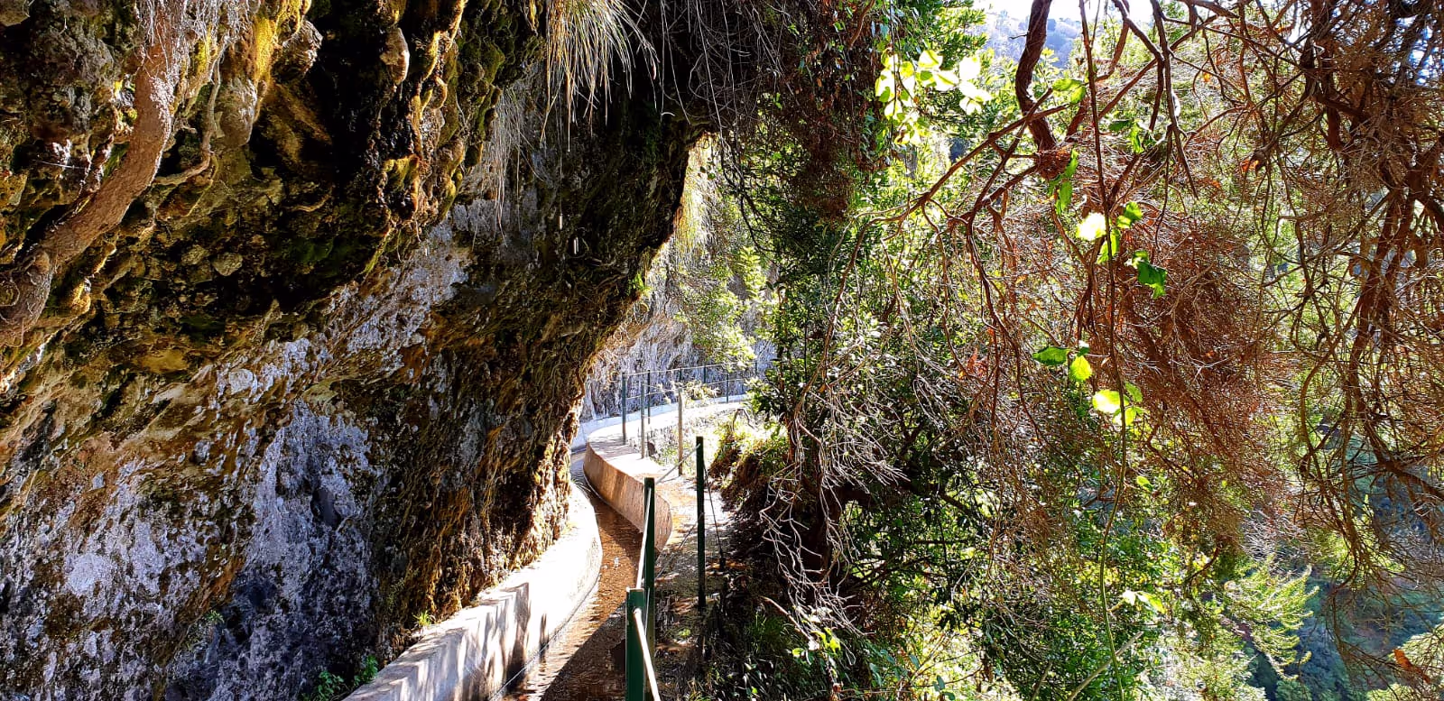 a very romantic levada hike in Lombada da Ponta do Sol