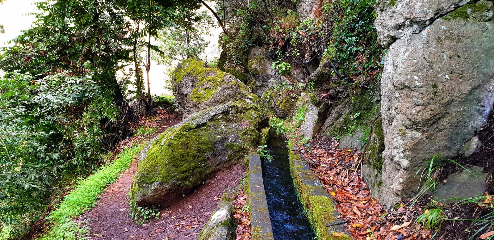 Super exciting levada in Lombada da Ponta do Sol