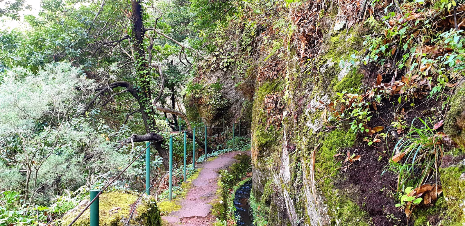 Lombada da Ponta do Sol in MAdeira Island