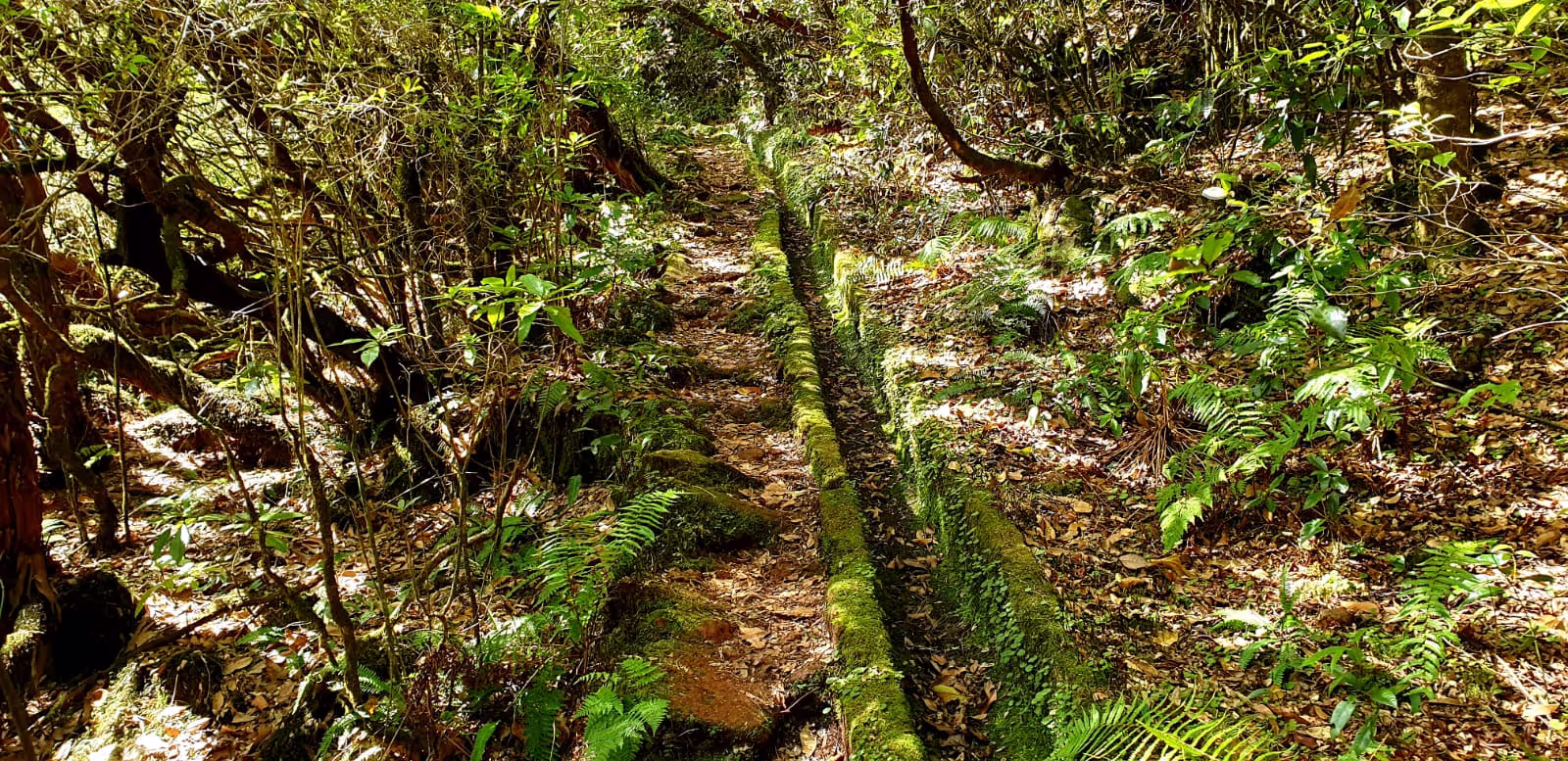 Going up from From Ribeiro Frio to Feiteiras de Baixo