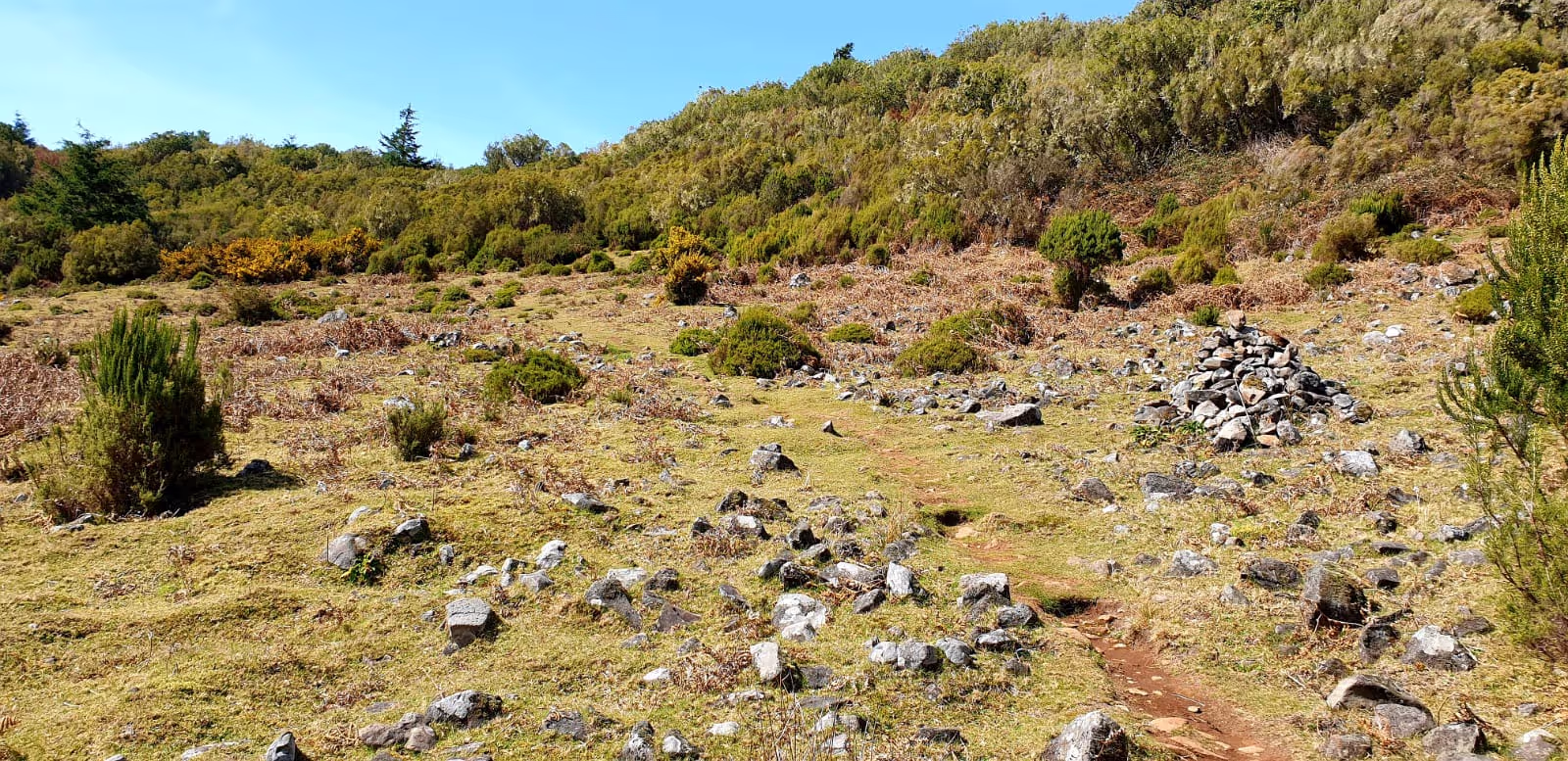 Almost no more forrest at about 1200 Meters above sealevel at From Ribeiro Frio to Feiteiras de Baixo