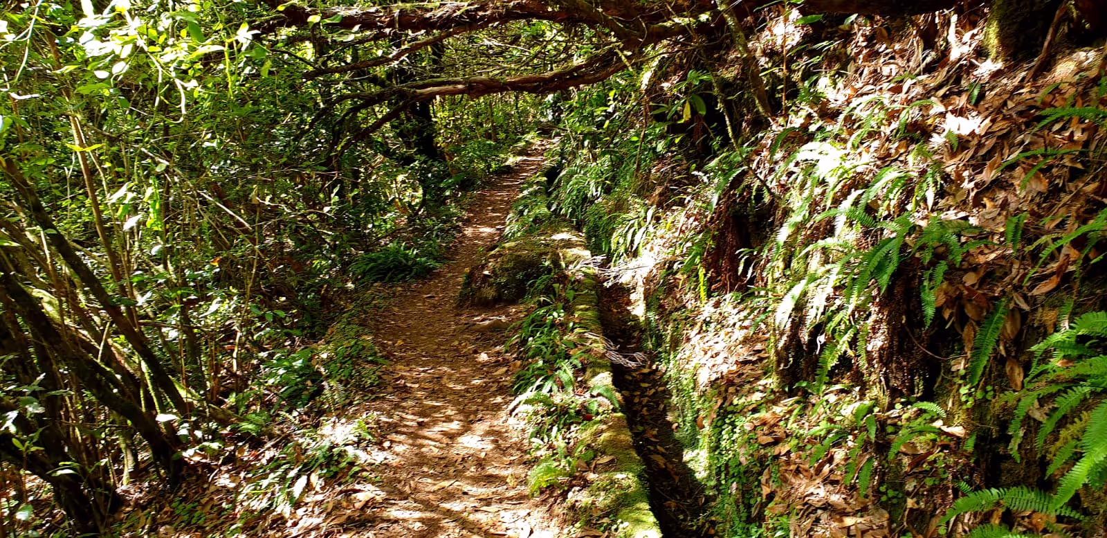 It cant get more beautfiul than this at Ribeiro Frio. The famous hikes and Levadas .