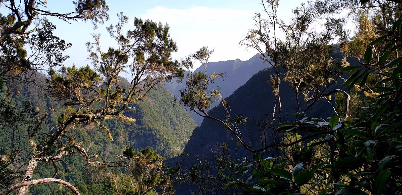 All the mountains Madeira has to offer at From Ribeiro Frio to Feiteiras de Baixo