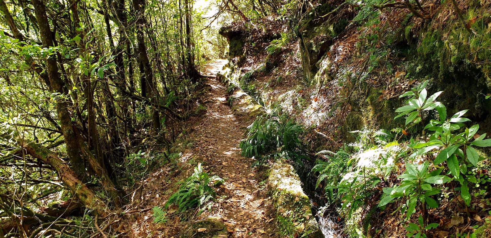 It seems like a fogotten place but it is real and found in Madeira in Portugal called Ribeiro Rio