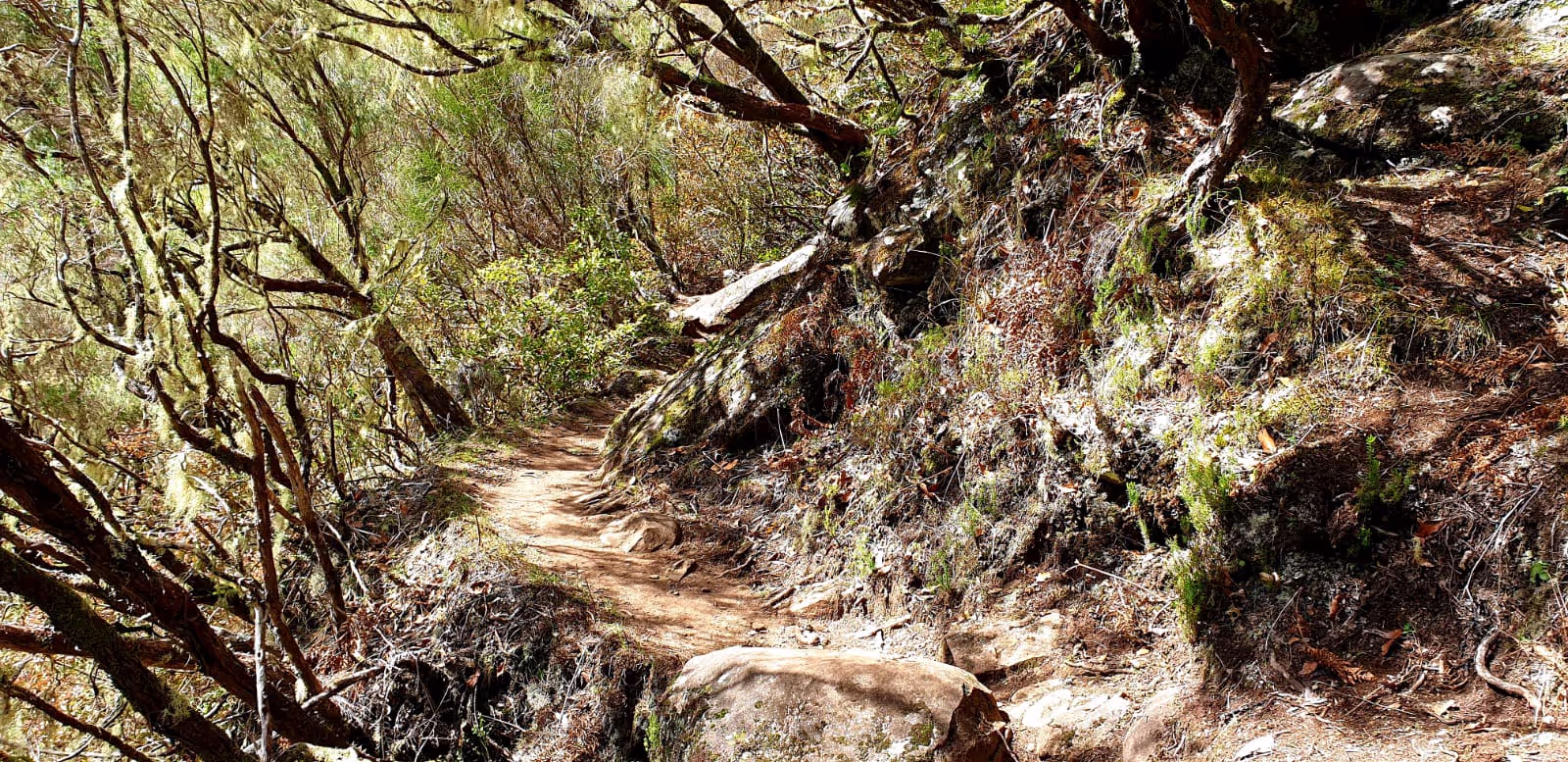 the higher you go, the dryer the nature gets. Ribeiro Frio Santana