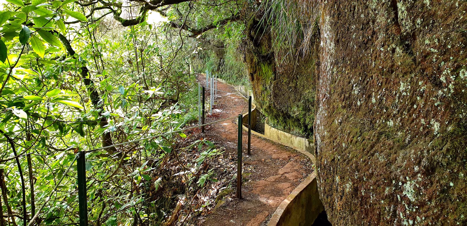 Only in Madeira you can have this incredible view in Ribeiro Frio