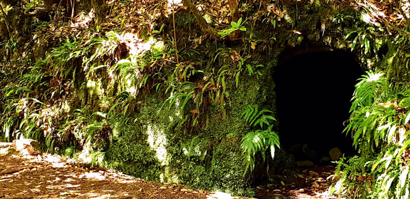 An old sleeping place of the builders of the Levadas in Ribeiro Frio. 
