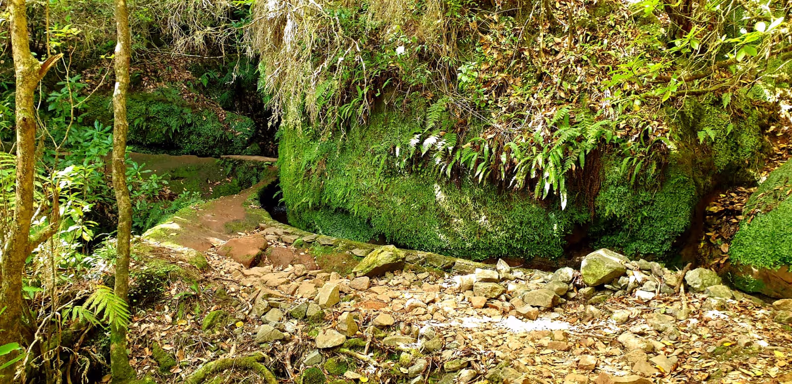 Fantastic Nature and Levada at From Ribeiro Frio to Feiteiras de Baixo