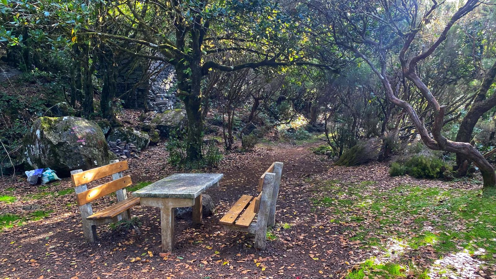 Picknick Tables at the Barbecues of the Fanal Walk in Paul de Serra
