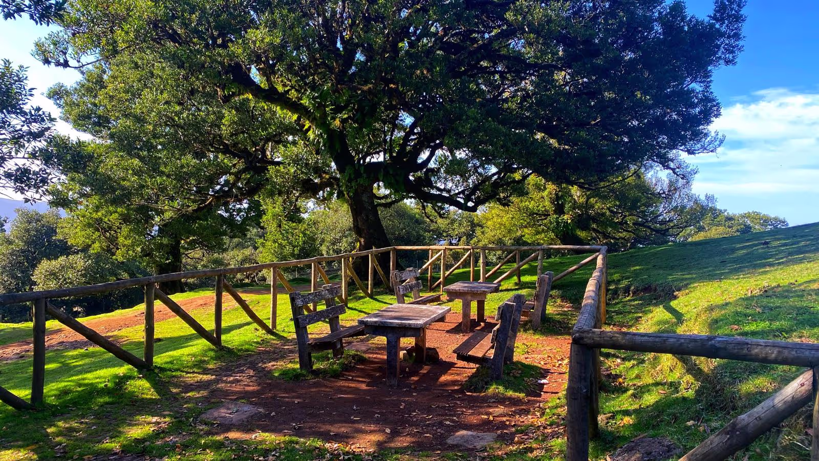 Nice place to sit and wait for a tasty Barbecue in Fanal at the Barbecue Spo.t