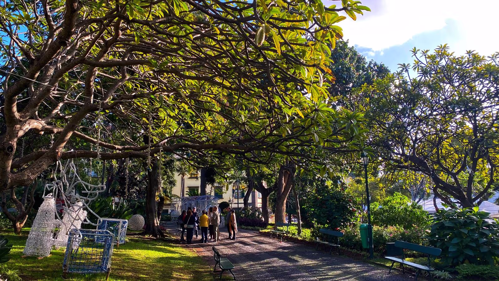 Beautiful Garden in the heart of Funchal called Funchal Municipal Garden