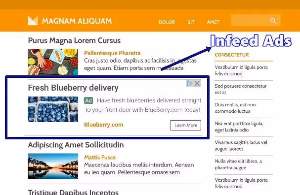 Infeed-Anzeigen von Google Adsense werden in den Feed-Bereich Ihrer Webseite eingefügt.