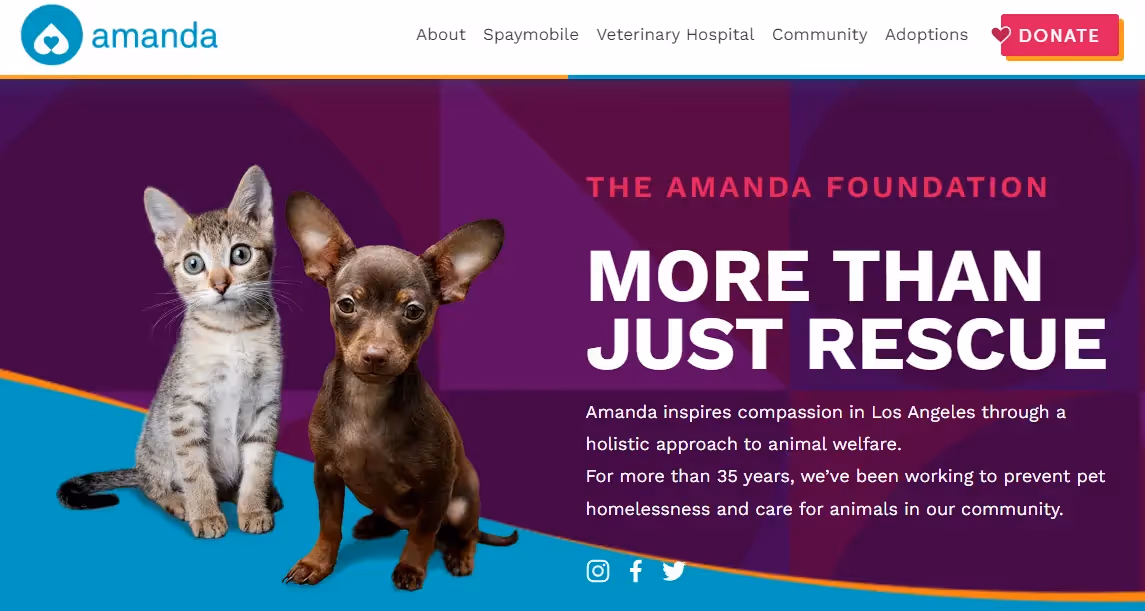 Amanda Foundation