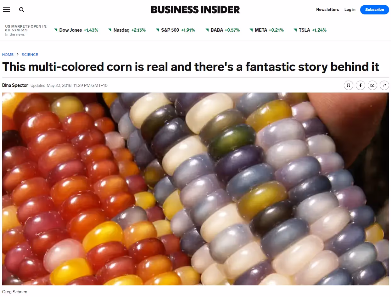 Business Insider y Semillas Nativas
