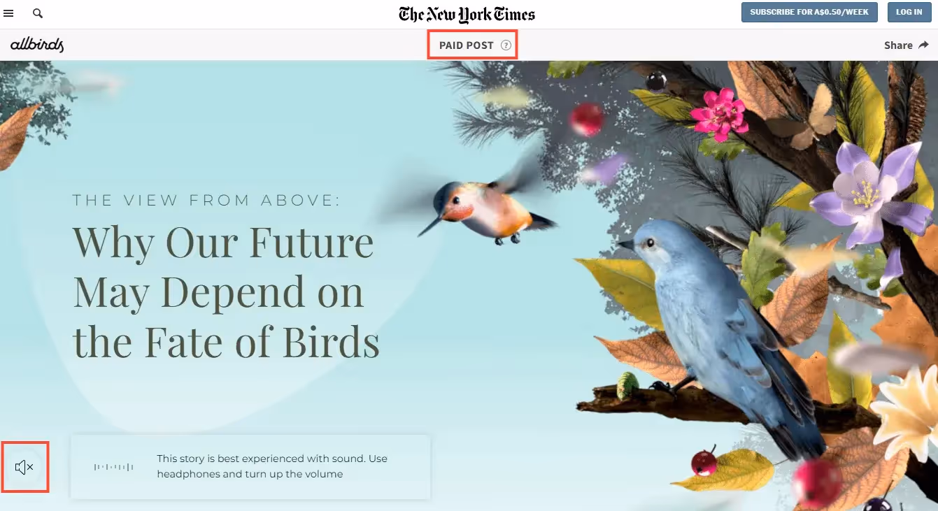 El New York Times y Allbirds