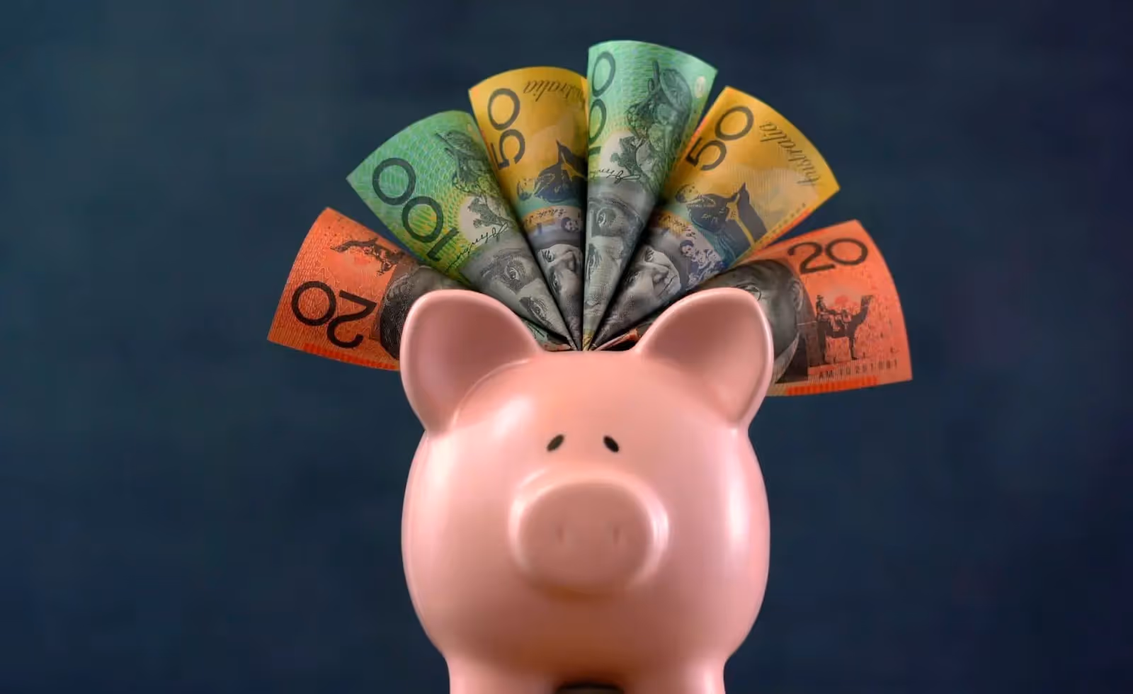 Piggy bank